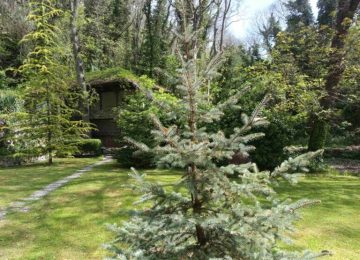 Аладжа манастир