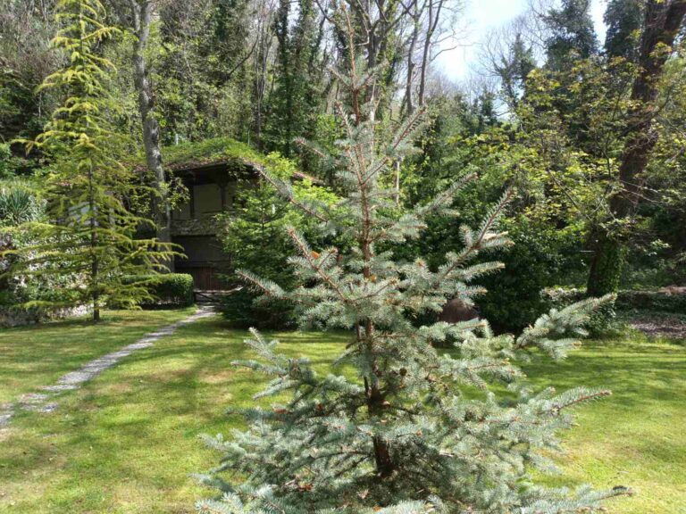 Аладжа манастир